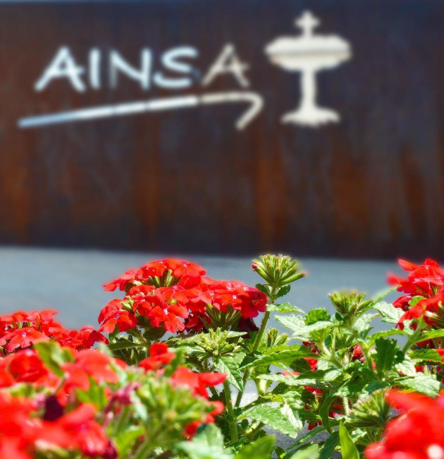 Guest House Ainsa Pirineos Esterno foto